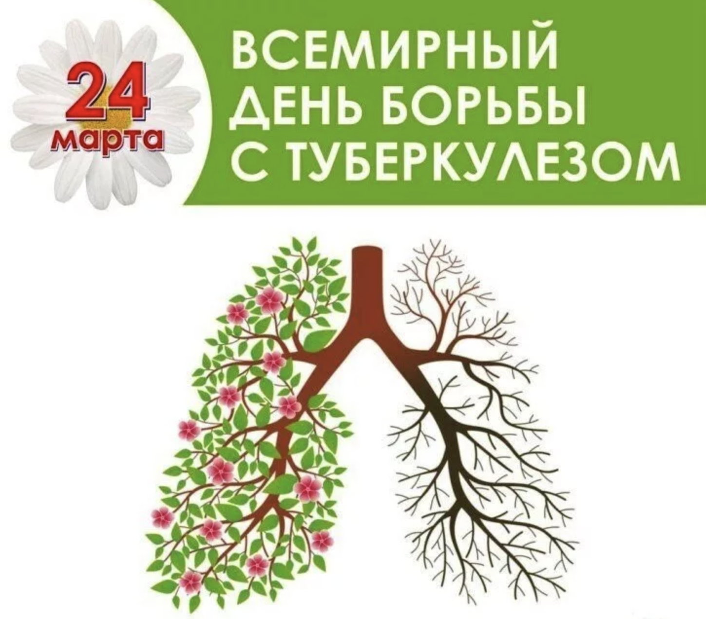 Всемирный день борьбы с туберкулёзом.