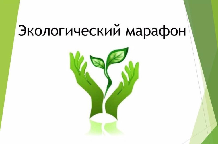 Конкурс «Экологический марафон».